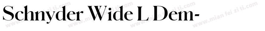 Schnyder Wide L Dem字体转换